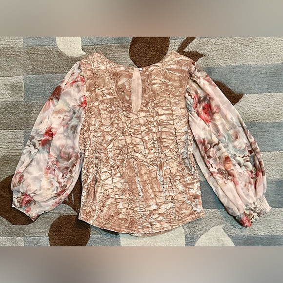 Anthropologie Meadow Rue Romantic Crushed Velvet Top w Chiffon Balloon Sleeves - Picture 6 of 9
